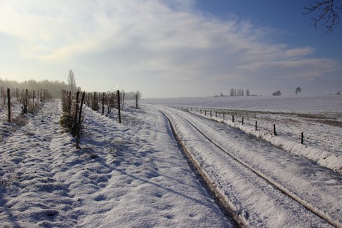 Winter Path