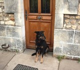 I am waiting for you